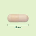 Afbeelding 3 voor Zaagpalm (Sabal) + Zink - 90 capsules