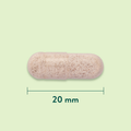 Afbeelding 3 voor Vitex Agnus Castus 400mg - 90 capsules