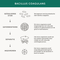 Afbeelding 3 voor Multibioticum - 30 capsules