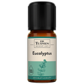 Afbeelding 1 voor Eucalyptus Essentiële Olie - 10ml