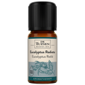 Afbeelding 1 voor Eucalyptus Radiata Essentiële Olie - 10ml