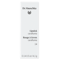 Afbeelding 4 voor Lipstick Caralluma - 4,1g