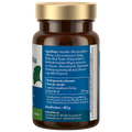 Afbeelding 2 voor Ginkgo Biloba Blad 250mg - 90 tabletten