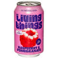 Afbeelding 1 voor Raspberry & Pomegranate - 330ml