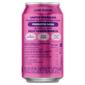 Afbeelding 2 voor Raspberry & Pomegranate - 330ml