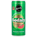 Afbeelding 1 voor Sodaly Watermelon Soft Drink - 250ml