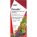Floradix Sirop fer formule 250 ml