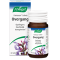 Afbeelding 2 voor Famosan Salvia (60 Tabletten)