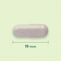 Afbeelding 3 voor Biotica & FOS 3 miljard bacteriën - 120 capsules
