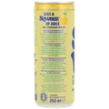 Afbeelding 2 voor Lemon Ginger Soda - 250ml