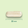 Afbeelding 3 voor Gember 484 mg - 120 capsules