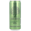 Afbeelding 1 voor Soul Water Mineraalwater Blik - 330 ml