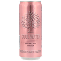 Afbeelding 1 voor Soul Water Bruisend Mineraalwater Blik - 330 ml