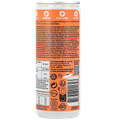 Afbeelding 2 voor The Artisan Drinks Co. Spicy Ginger - 250ml