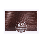 Naturtint Permanent Coloration capillaire 4.32 Châtain intense - 170ml image 2