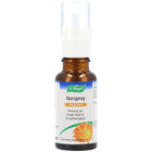 A.Vogel Oorspray Droge Huid - 20ml image 2