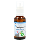 Physalis Eucalyforce Neusspray - 30ml image 2