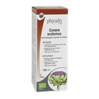 Physalis Artichaut Bio image 1