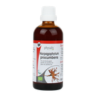 Physalis Duivelsklauw Bio (100ml) image 2