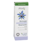Physalis Bernagie Olie Bio - 50ml image 1