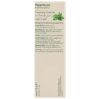 Piramide Menthe Poivrée Bio - 20 sachets image 3