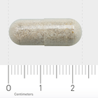 Orthica Magnesium Plus - 60 capsules image 3