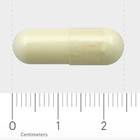 Orthica Magnesium Bisglycinaat 120 (120 capsules) image 3