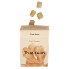 True Gum Ginger & Turmeric Kauwgom - 21g image 2