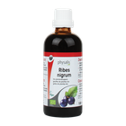 Physalis Zwarte Bes Bio (100ml) image 2