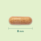 Holland & Barrett Psyllium Vezel Complex - 90 Capsules image 3