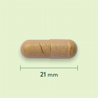 Holland & Barrett Cat's Claw 300 mg - 90 capsules image 3