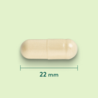 Holland & Barrett Moule à Lèvres Vertes 500 mg - 120 capsules image 3