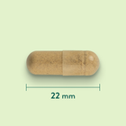 Holland & Barrett Bardane 425mg - 90 capsules image 3