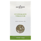 Jacob Hooy Solidage verge d'or image 1