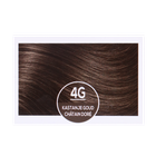 Naturtint Permanent Coloration capillaire 4G image 2