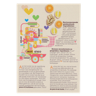 GingerLove Unsweetened - 42 gr image 3