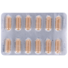 OJAS Ayurveda Bio Amla - 60 capsules image 2