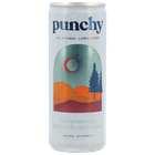 Punchy Blood Orange, Bitters & Cardamom Soft Drink - 250ml image 1