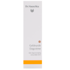 Dr. Hauschka Crème de Jour Teintée - 30ml image 2