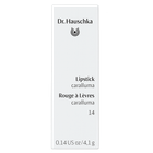 Dr. Hauschka Lipstick Caralluma - 4,1g image 4