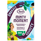 Cleo’s Minty Moment - 18 theezakjes image 1