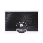 Naturtint Permanent Coloration capillaire 1N Noir d'ébène - 170ml image 2