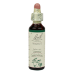 Bach Bloesem Remedie Walnut (20ml)