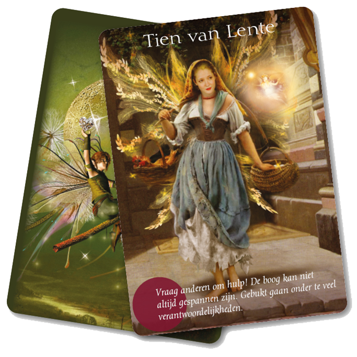 Cartes de Tarot 'Elfes' - Néerlandais