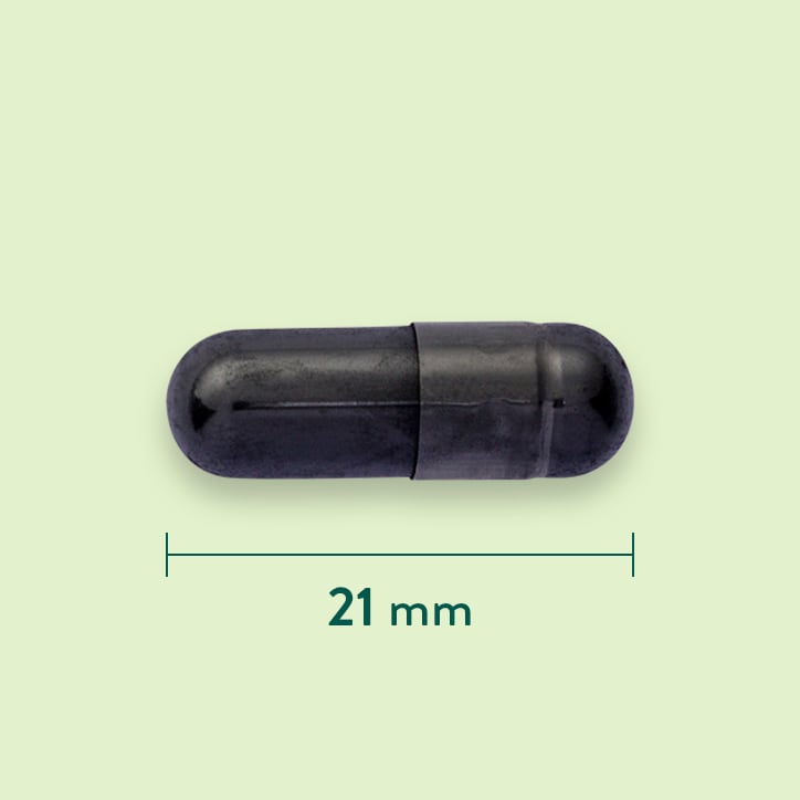 Holland & Barrett Actieve Kool 260 mg - 120 capsules-3