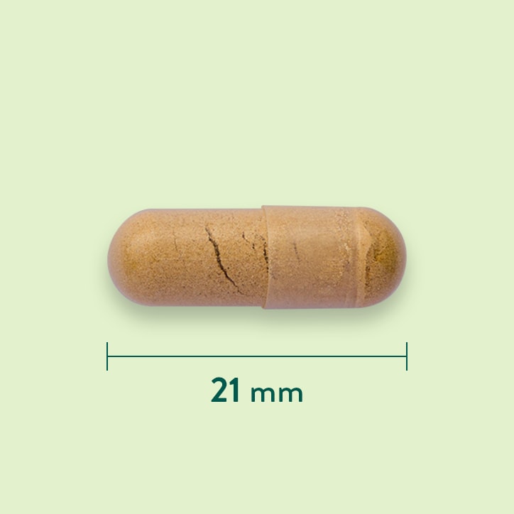 Holland & Barrett Cat's Claw 300 mg - 90 capsules-3