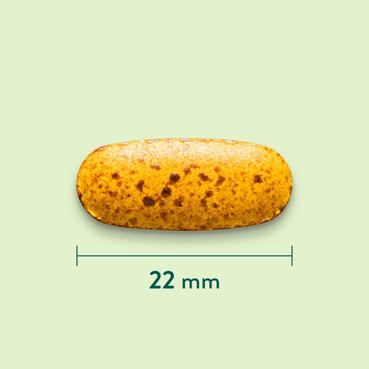 Holland & Barrett Haar Complex - 90 tabletten