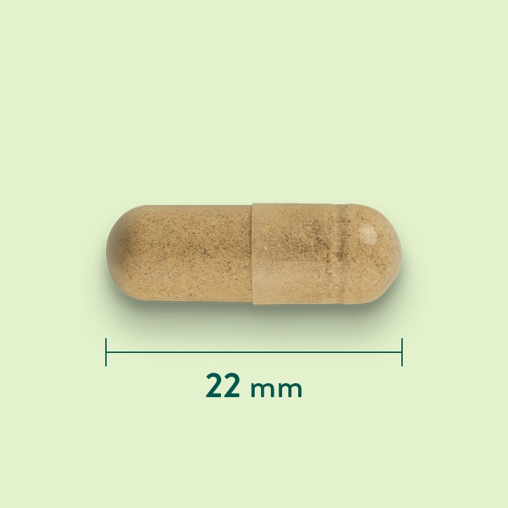 Holland & Barrett Grote Klis 425mg - 90 capsules-3