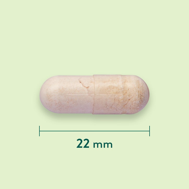 Holland & Barrett Bisglynate de Fer 20mg - 90 capsules