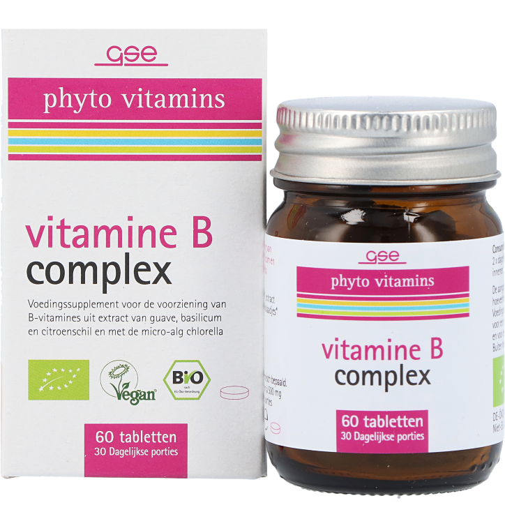 GSE phyto vitamines Vitamine B Complex (60 tabletten)